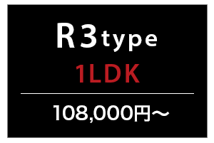 R3type