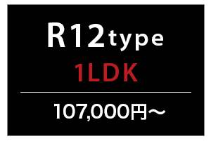 R12type